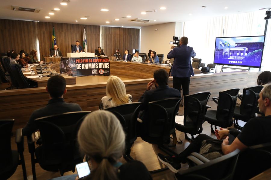 aud pub animais vivos