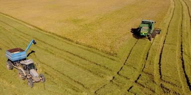 TV Assembleia: Semeando Informação analisa o desempenho recorde da agropecuária paranaense em 2025