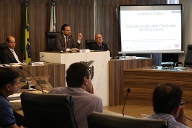 Audiência discute formas de conservação e estímulo ao plantio de araucárias