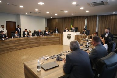 Deputados querem intensificar atuação das comissões permanentes