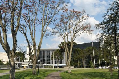 Projeto que propõe debate sobre a segurança do trabalho começa a ser votado na segunda-feira (11)