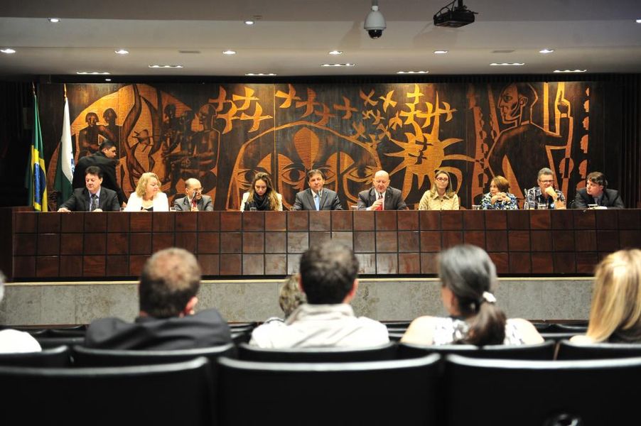 Audiência Pública - PDIST