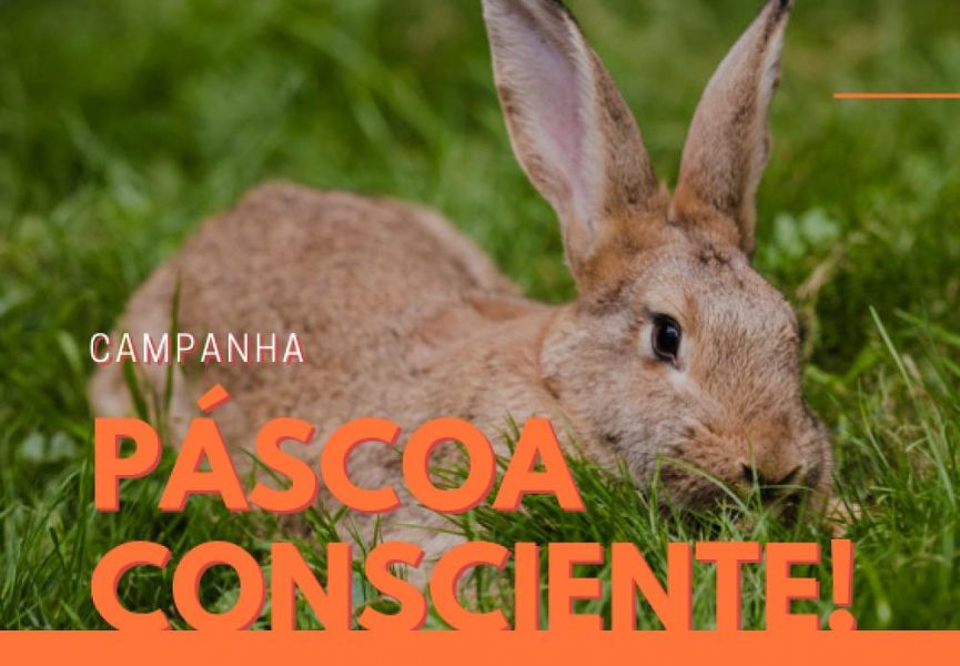 Campanha Pascoa Consciente