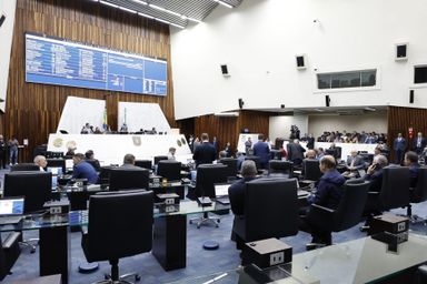 Segue para sanção projeto que prevê divulgação de dados sobre abortamentos no Paraná