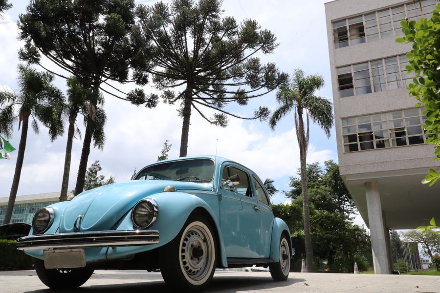 fusca1