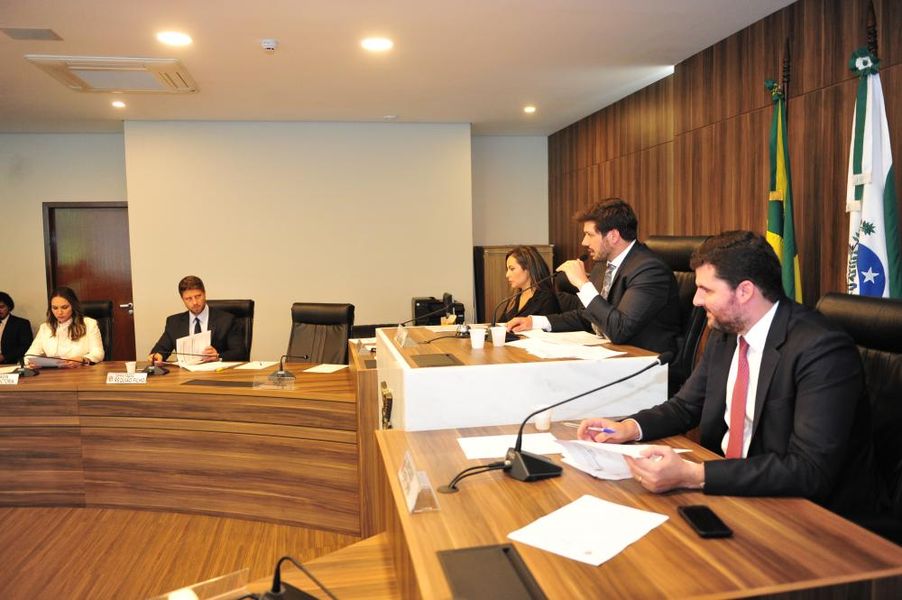 Reunião da Comissão de Revisão e Consolidação Legislativa