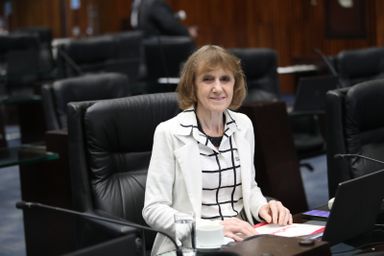 Deputada destaca estudo que revela a importância da agricultura familiar na melhora do desempenho escolar na rede pública