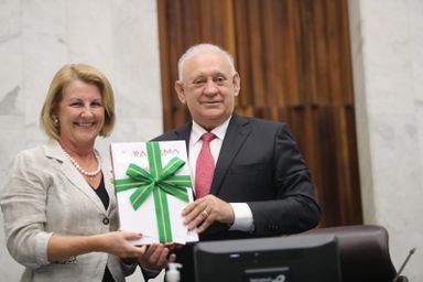 Paranismo é movimento que merece ser conhecido e estudado, diz a deputada Márcia Huçulak (PSD)