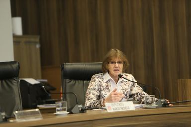 Luciana quer ampliar atenção a dependentes químicos no SUS
