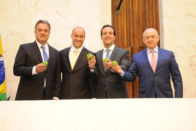 Projeto que reconhece o "futsac" como modalidade esportiva é aprovado em primeira votação