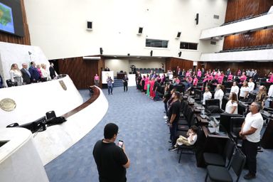 Instituições que acolhem pacientes com câncer recebem homenagem especial na Assembleia Legislativa
