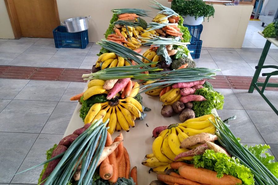 agricultura familiar