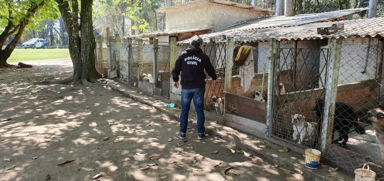 audiencia pet shop1