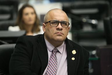 Projeto de ajuda aos guias de turismo é constitucional, diz autor