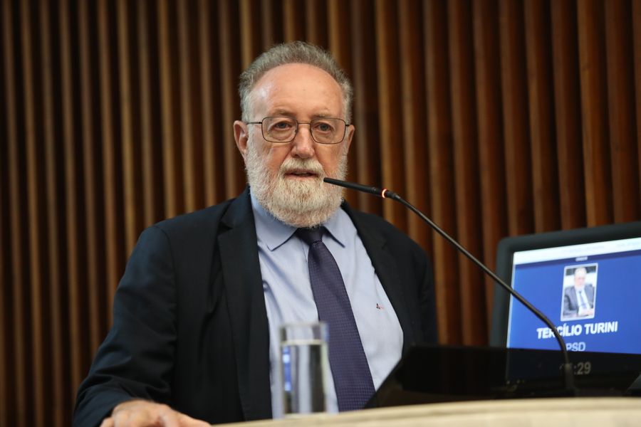 turini contorno lda