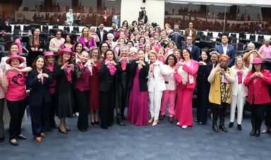 Assembleia abre Outubro Rosa com relatos de superação e alerta para prevenção do câncer de mama