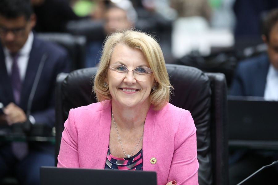 marcia grupo ucraniano