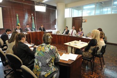 Comissão de Revisão do Regimento Interno da Assembleia conclui análise e votação de propostas