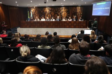 Audiência pública trata dos impactos da violência política de gênero na democracia brasileira