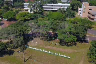 Laboratório da UEL vai fazer testes de DNA gratuitos