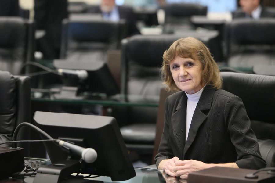 Deputada Luciana Rafagnin dia 17
