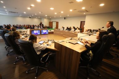 Audiência destaca protagonismo da juventude rural e importância de políticas públicas para permanência no campo