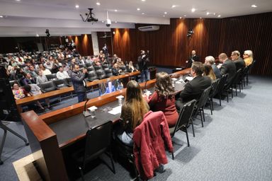 Assembleia promove debate sobre autismo em jovens e adultos, com foco em inclusão, saúde e apoio às famílias