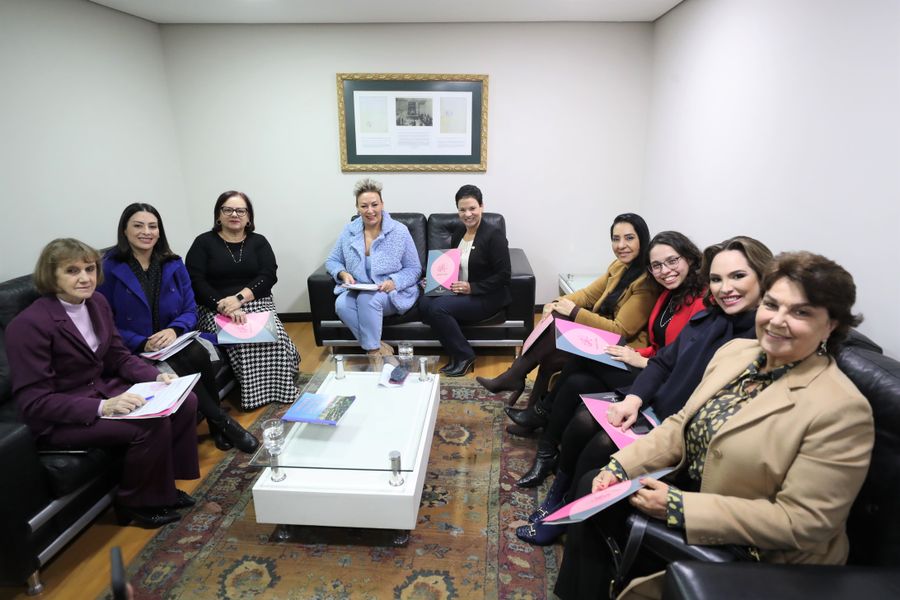 bancada feminina reunião 19062023