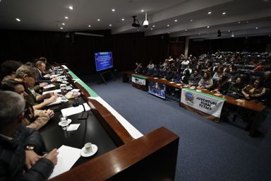 Audiência Pública na Assembleia debate estratégias para manter juventude no campo