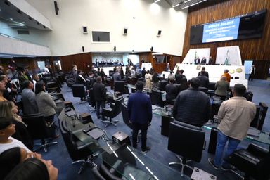 Solenidade reconhece contribuição de empresários, lideranças e personalidades de São José dos Pinhais