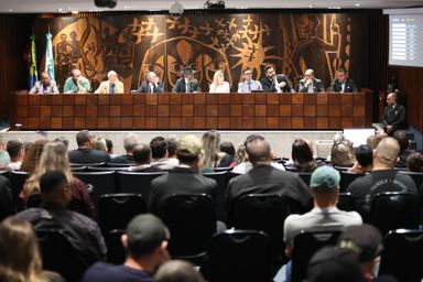 Assembleia Legislativa promove audiência pública sobre porte de armas para vigilantes