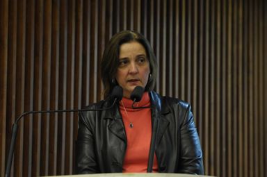 Secretária da Justiça fala sobre investimentos no sistema penitenciário do Paraná