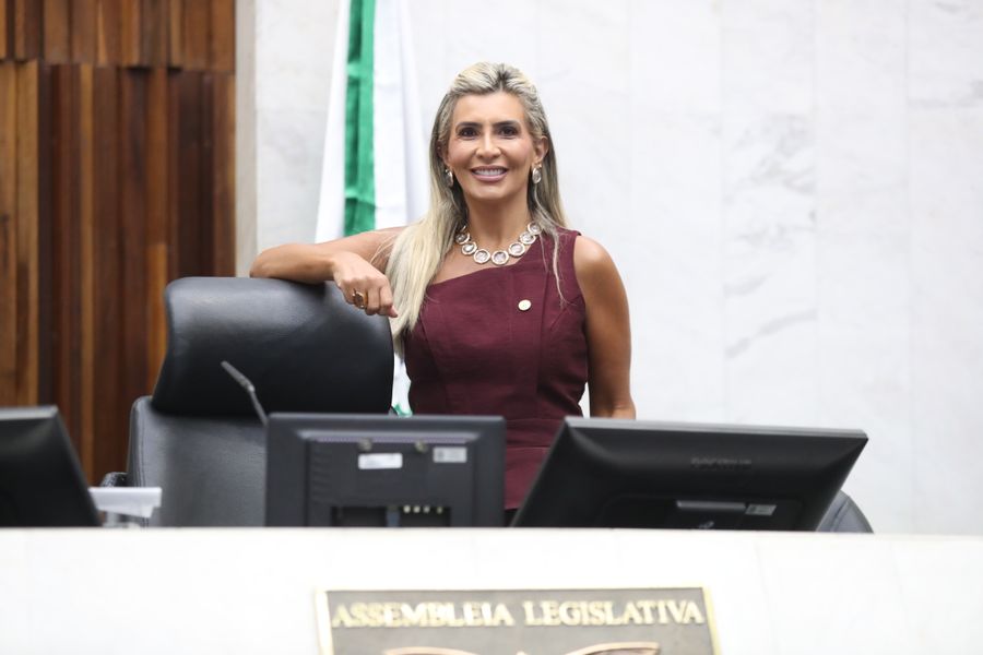 flavia presidencia