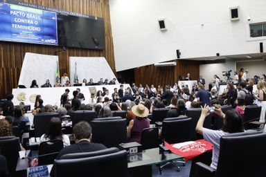 Audiência pública na Assembleia Legislativa defende união de todos os poderes no combate ao feminicídio e à violência contra a mulher
