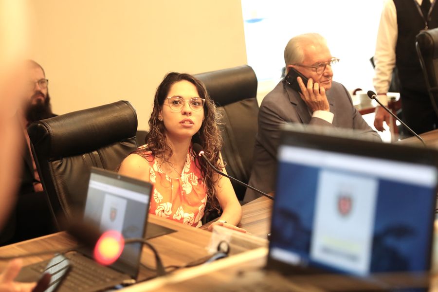 ana julia finanças