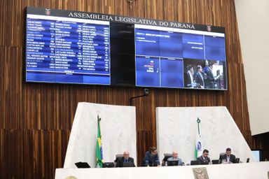 Aprovado projeto para que agressores de animais arquem com as despesas de assistência e tratamento veterinário