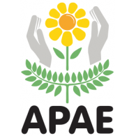 ASSOCIAÇÃO DE PAIS E AMIGOS DOS EXCEPCIONAIS DE SARANDI