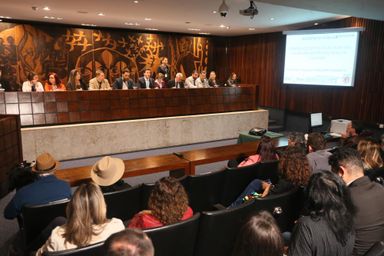 Audiência debate ações contra desmonte dos conselhos de políticas públicas