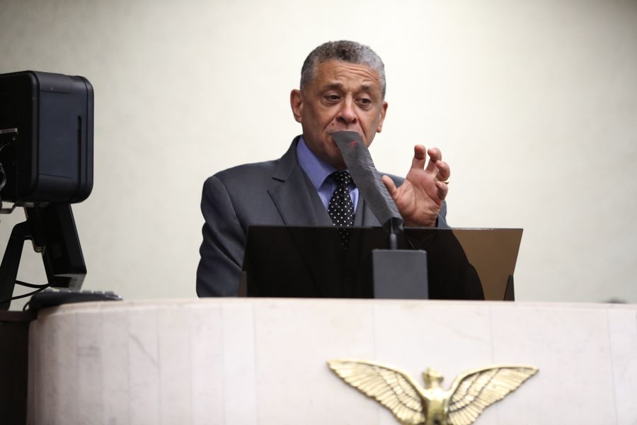 galo escola