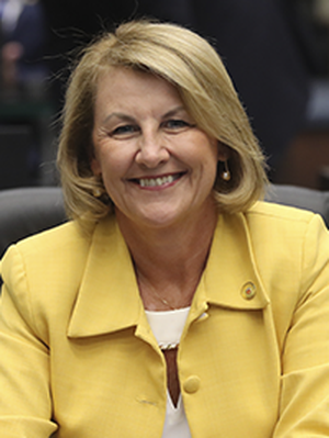 Foto do deputado Secretária Márcia 