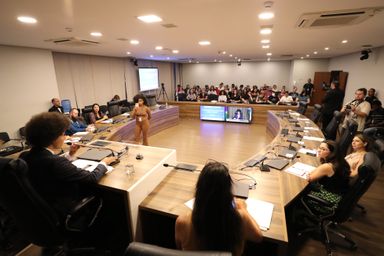 Audiência debate formas de ampliar acesso à saúde para população trans