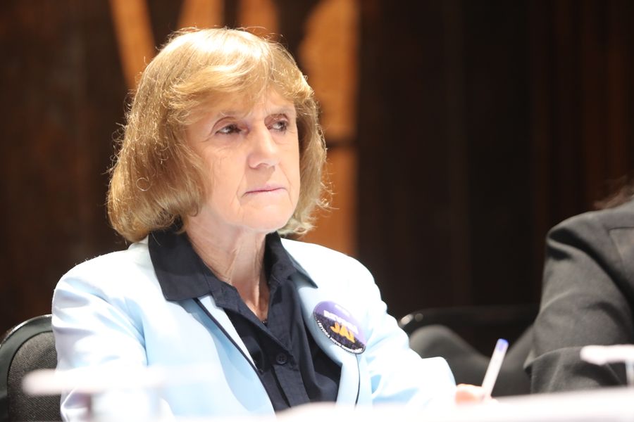 Luciana Rafagnin requerimento filas cirurgias
