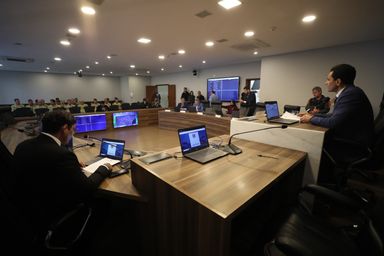 Comissão de Segurança Pública aprova projetos que ampliam proteções no Código Estadual da Mulher Paranaense