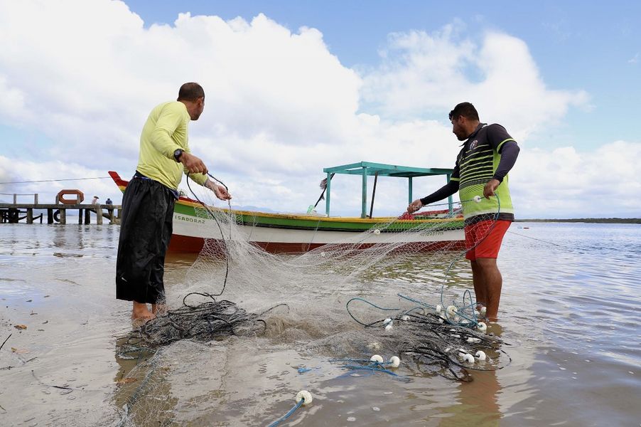 goura pesca