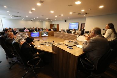 Frente Parlamentar debate impactos da guerra no Oriente Médio e a necessidade de transição energética no Paraná