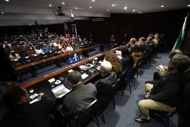 Audiência na Assembleia debate medidas para reduzir impactos da deriva de agrotóxicos no Paraná