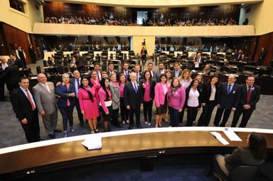 Campanha do Outubro Rosa é lançada oficialmente no Plenário da Assembleia Legislativa