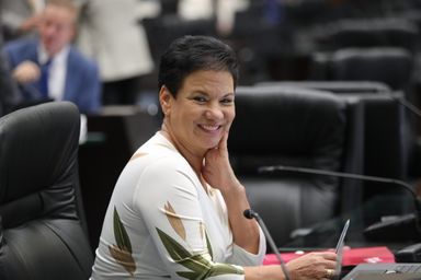 Deputada Marli Paulino (SD) apresenta projeto para criar o acervo cultural Bicho do Paraná