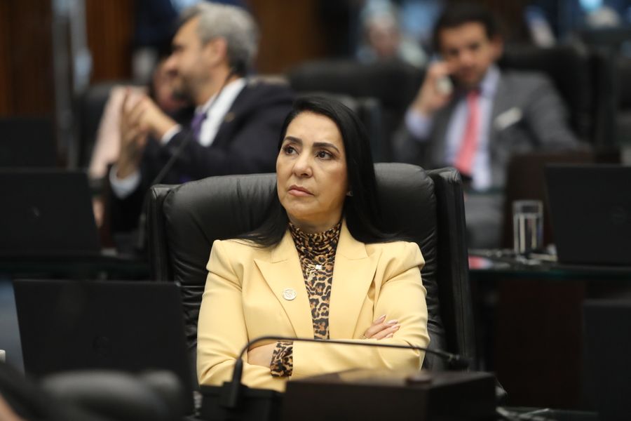 mara lima pl proteção abuso