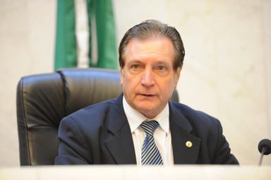 Deputados participam de mobilização em Brasília e defendem fortalecimento dos Legislativos estaduais